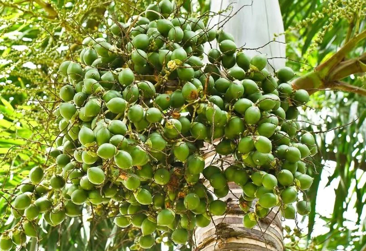 a3e0dbffa4090a141b80651e4b4a87e4