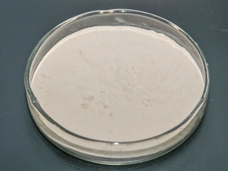 酶解大豆蛋白生产植物蛋白饮料专用酶