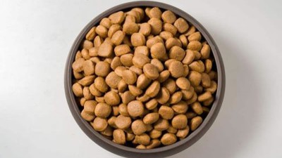 猫粮风味剂的生产如何选择酶制剂？