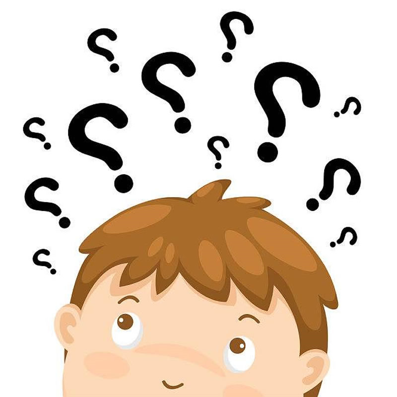 水解鸡肝生产宠物诱食剂用什么酶？