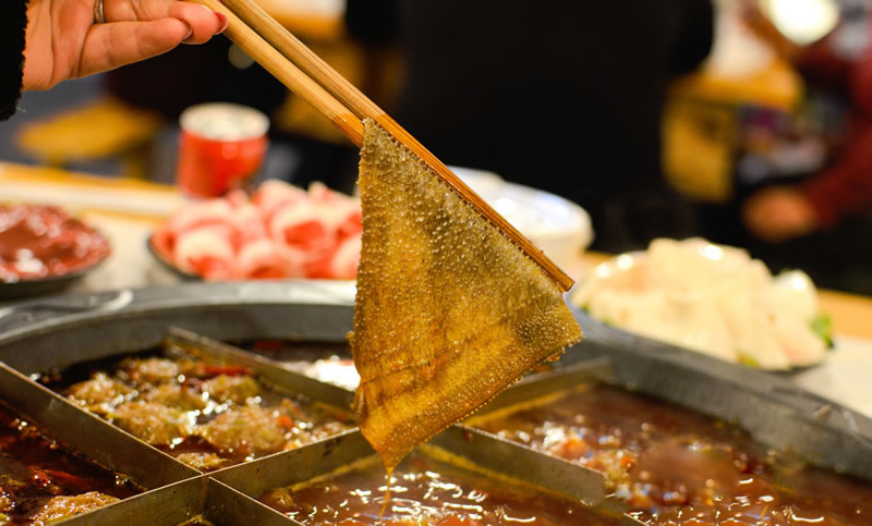 火锅毛肚
