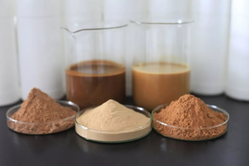 宠物诱食剂种类