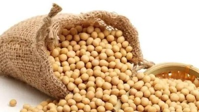 大豆豆粕酶解技术在饲料行业的应用