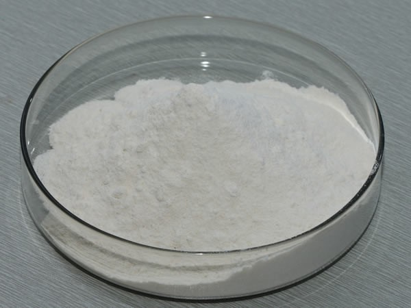 中温α-淀粉酶 Temperature α-Amylase