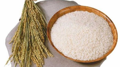 酶解法----解密提高大米蛋白溶解性的好方法