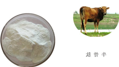 蛋白酶解技术助力牛骨蛋白酶解呈味肽品质升级