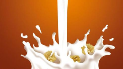 酶法改性助力植物蛋白饮料加工与利用