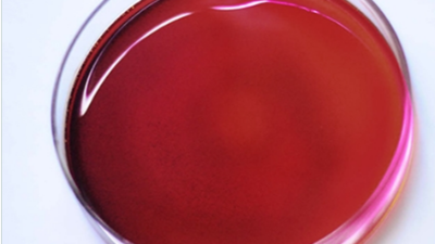 酶解虾膏在水产饲料行业的应用