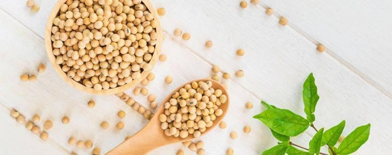 大豆蛋白肽酶解原料