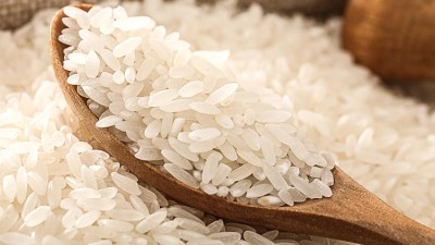 大米肽的口感关键在于生物酶解技术