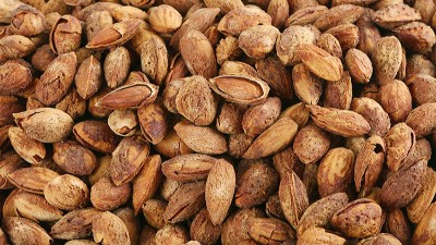 木瓜蛋白酶在巴旦木加工中的应用