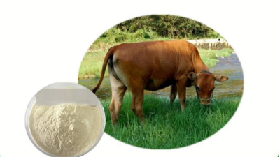 酶解猪牛皮制备胶原蛋白肽，为什么日本产品的价格比国内的贵1倍？