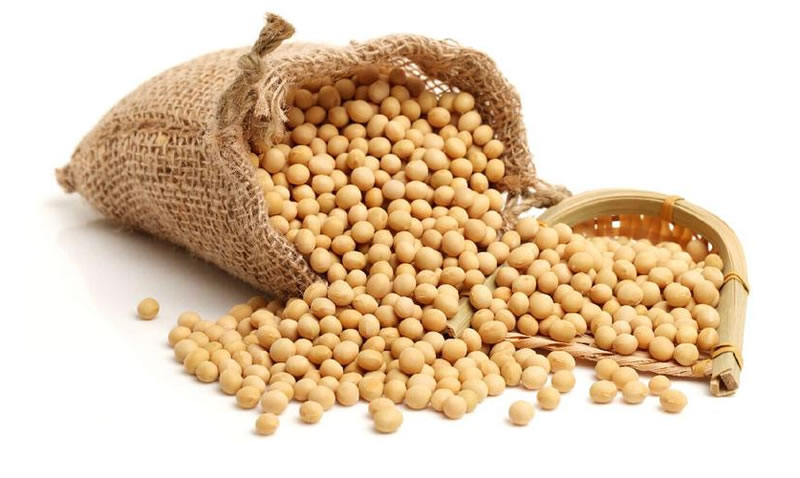 大豆蛋白原料