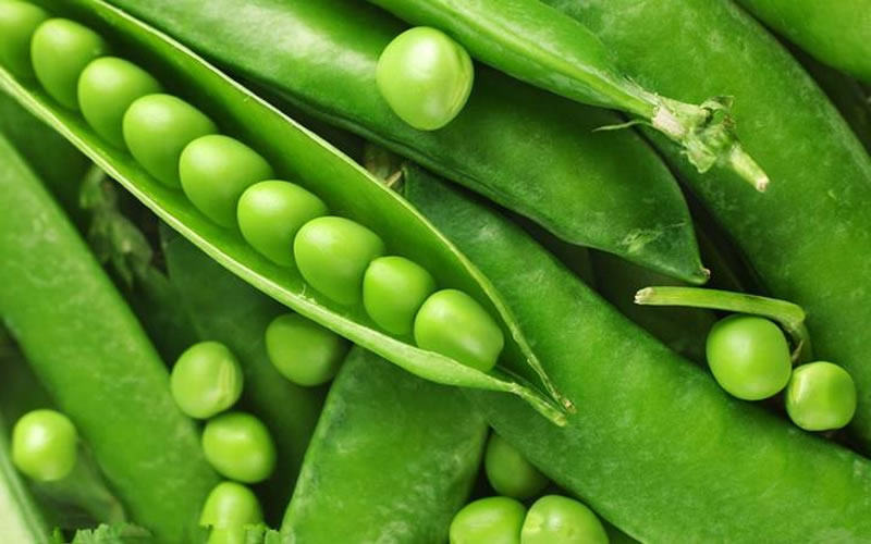 植物蛋白饮料原材料