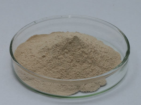 酥性饼干酶（饼干改良剂）