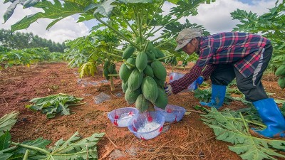 2025生物酶制剂行业发展趋势