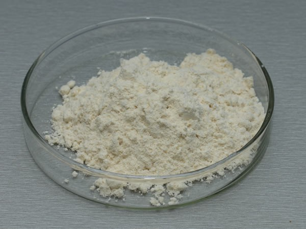真菌α-淀粉酶 Fungal Amylase