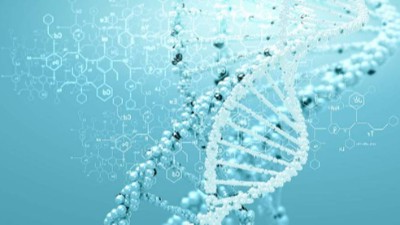 食品工业中的酶法水解蛋白改性