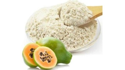 蛋白酶在食品加工中有哪些作用？