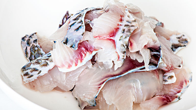 蛋白酶水解鱼肉蛋白助力宠物诱食剂配方新升级