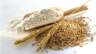 蛋白酶在小麦蛋白水解中的应用