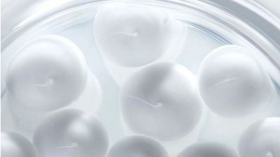 鳕鱼肽酶解提取制备胶原蛋白的最佳条件是什么？