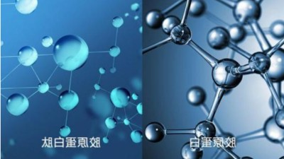 杏彩体育网
告诉您酶解鱼鳞制备多肽怎么样