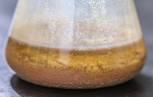 饲料加工生产—酶制剂解决方案