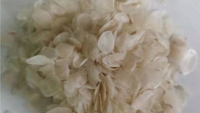 罗非鱼鳞酶解制备胶原蛋白肽