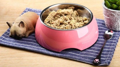 牛肉蛋白质酶解制备宠物诱食剂，如何选酶？