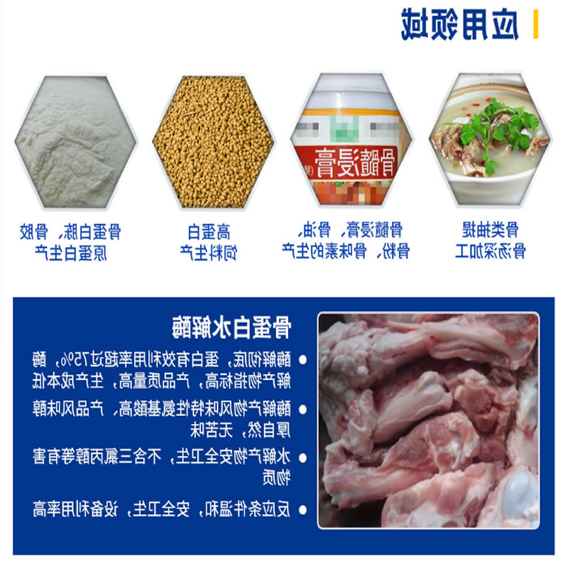 骨蛋白水解运用_r1_c1