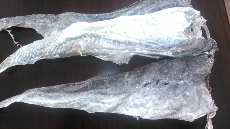 深海鳕鱼皮