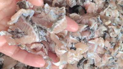 碱性蛋白酶助力鱼溶浆酶解生产工艺升级