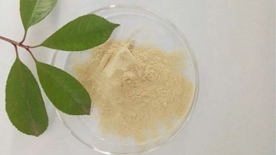 浅谈蛋白胨的不同分类及酶制剂的应用