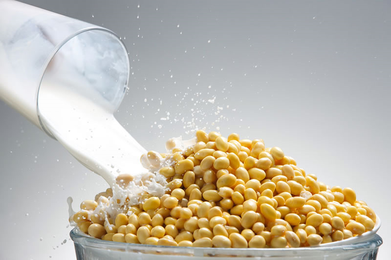 大豆饮品生产原料