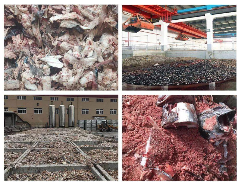 鱼溶浆制备下脚料