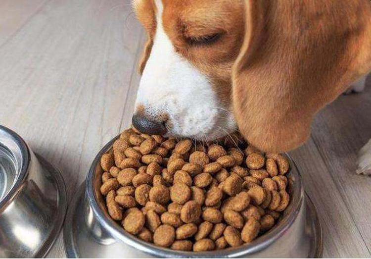 0b7ecf7ae590507ea113316931efbcd3