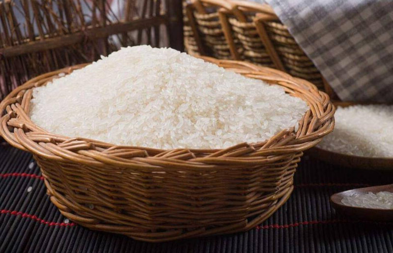 大米蛋白肽制备原料