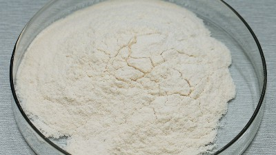 工业酶制剂——生物酶赋能，开启工业智造