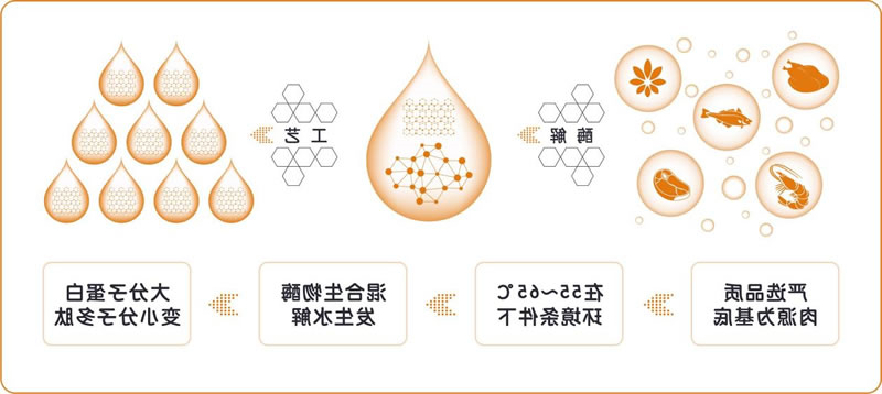 酶解技术在宠物诱食剂中的应用