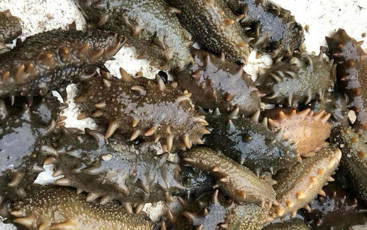 05a0e6f9e7e5642bebb412b98ff8bad7