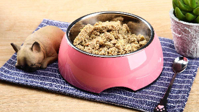 木瓜蛋白酶酶解牛肉生产宠物诱食剂的关键控制点是什么？