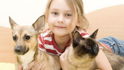 猫犬风味剂生产选择复合酶，还是单体酶制剂？