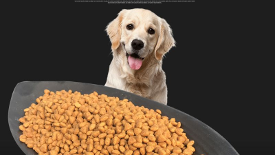 宠物犬粮风味剂的生产离不开酶制剂的应用