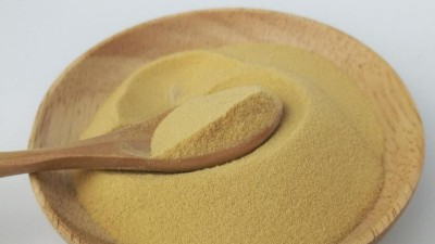 酶解技术制取解酒护肝神器玉米肽