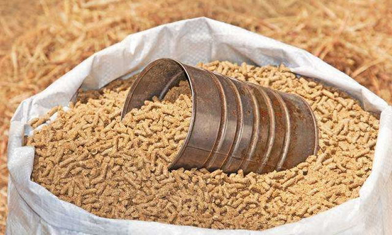 木瓜蛋白酶在饲料生产中的应用