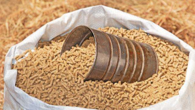 木瓜蛋白酶在饲料生产中的作用