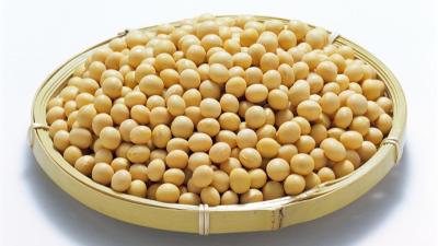 豆浆粉改性的方法有哪些？