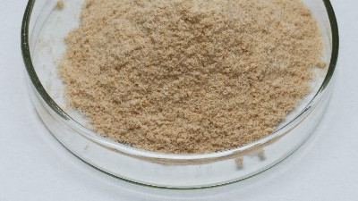 碱性蛋白酶的作用和用途