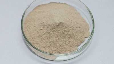 中性蛋白酶最适温度和ph值